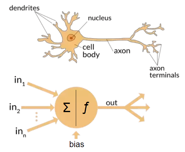Perceptrones: la forma más básica de una red neuronal · Applied Go