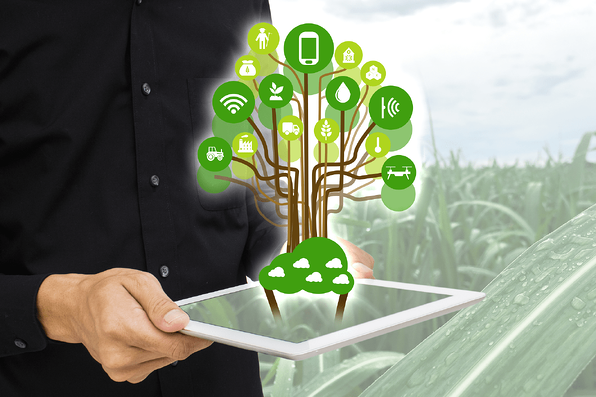 iot applications in agriculture